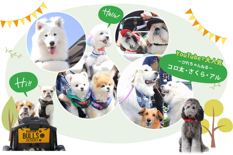 犬祭り　ペットイベント　写真