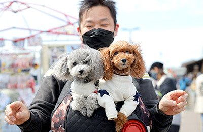犬祭り　ペット写真