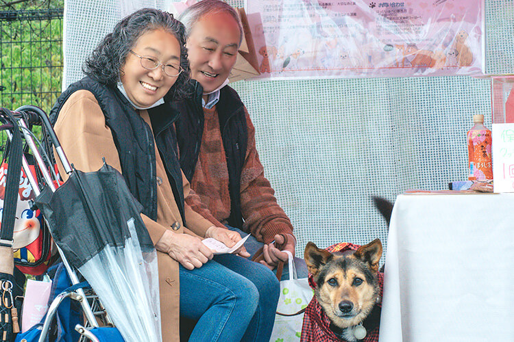 ペット 犬祭り 家族写真