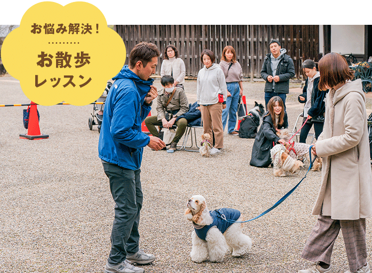 ペットイベント　ぎふ清流里山公園　お散歩レッスン