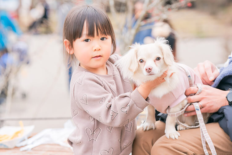 ペットイベント　ぎふ清流里山公園