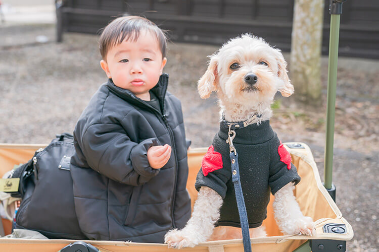 ペットイベント　ぎふ清流里山公園