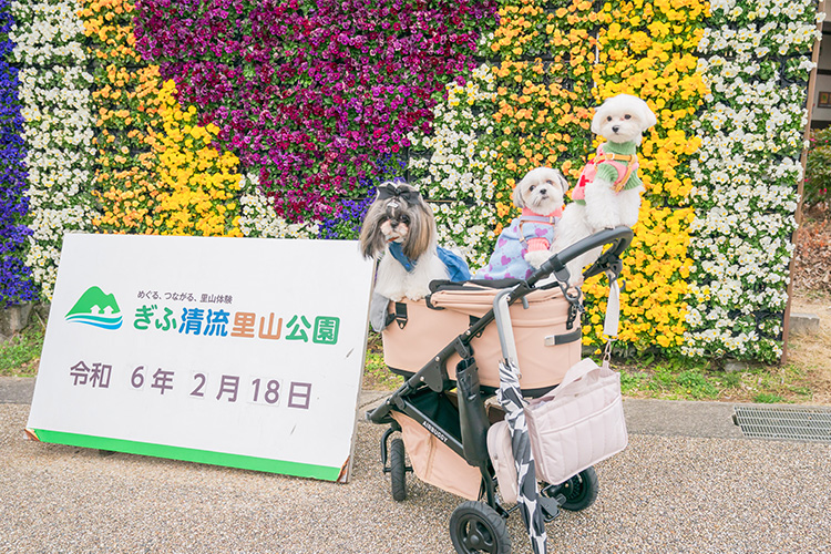 ペットイベント　ぎふ清流里山公園