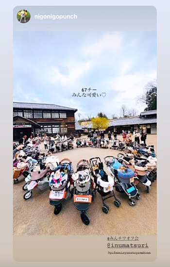 ペットイベント　ぎふ清流里山公園　マルシェ