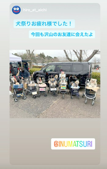 ペットイベント　ぎふ清流里山公園　マルシェ