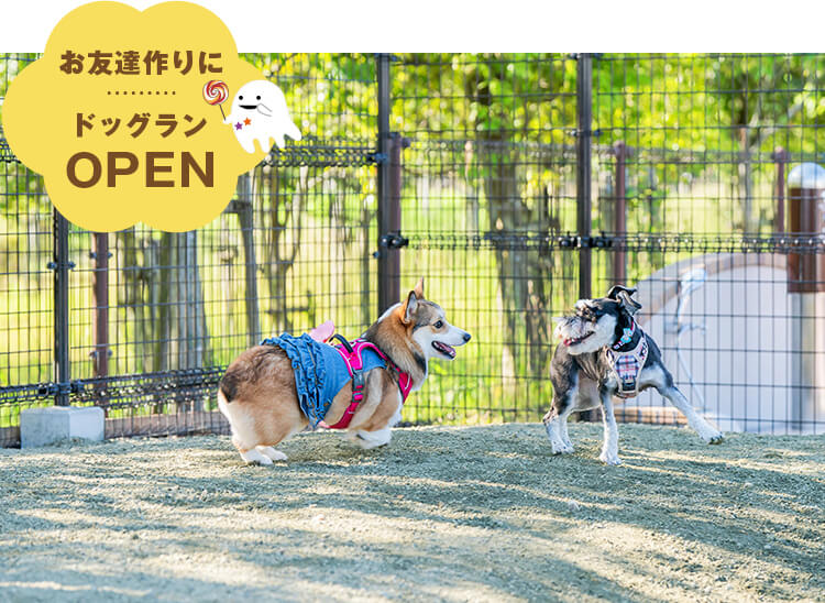 岐阜県土岐市にドッグランオープン