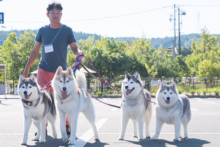 ペットイベント2024　犬　飼い主さん