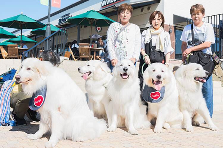 ペットイベント2024　犬　飼い主さん