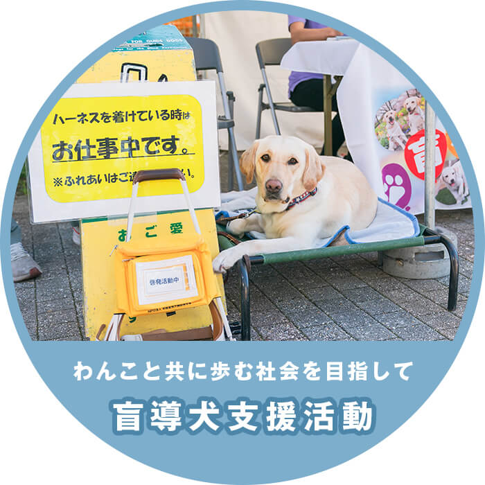 盲導犬支援活動