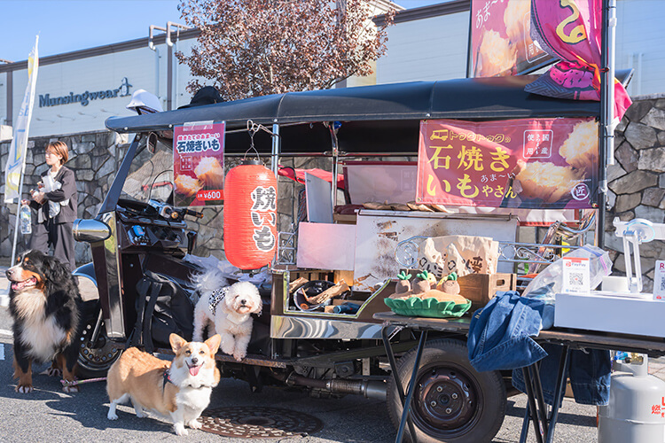 ペットイベント2024　犬　キッチンカー