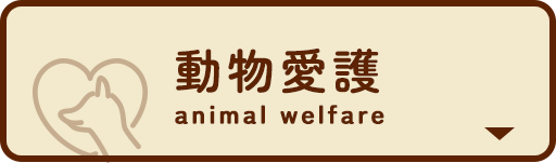 ペットイベント　動物愛護