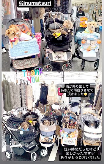 犬 イベント 東海 土岐アウトレット ダックスフンド