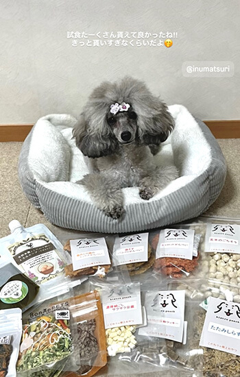 犬 イベント 東海 土岐アウトレット