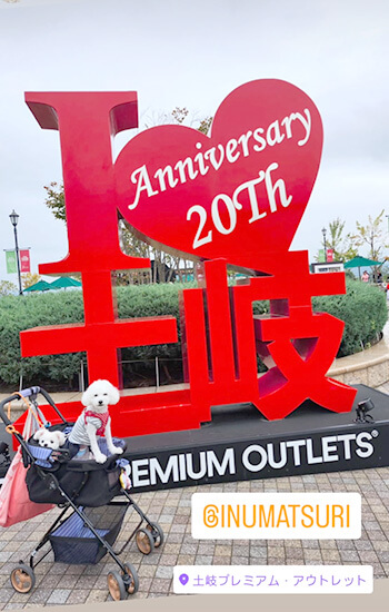 犬 イベント 東海 土岐アウトレット