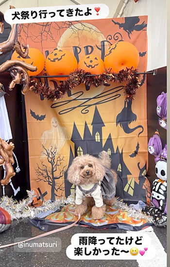 犬 イベント 東海 土岐アウトレット