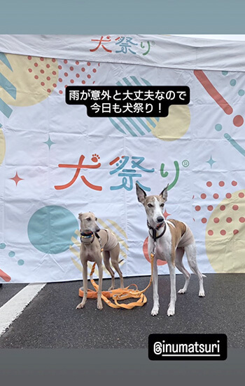 犬 イベント 東海 土岐アウトレット