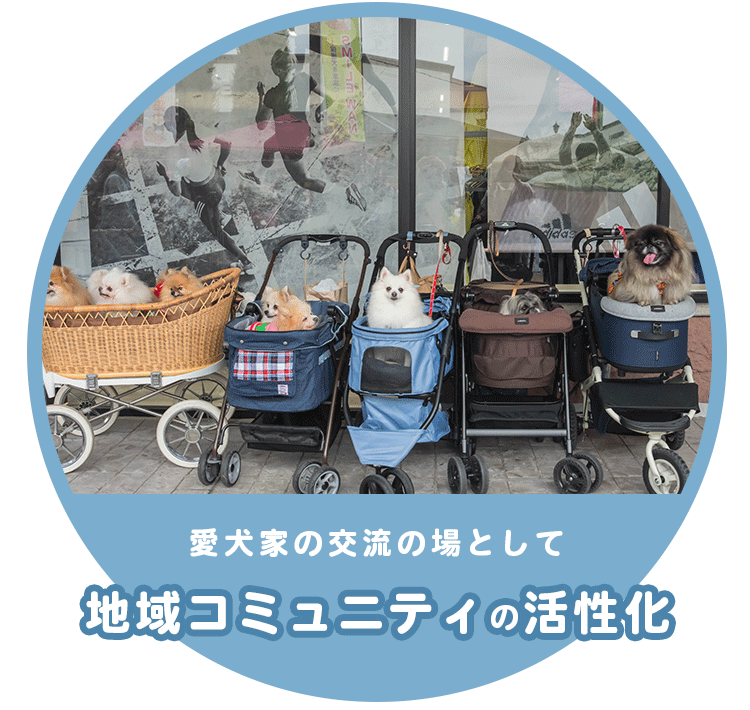 地域コミュニティ活性化