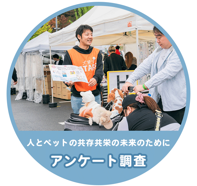 アンケート調査