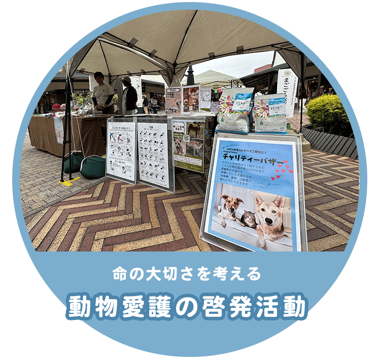 動物愛護の啓発活動