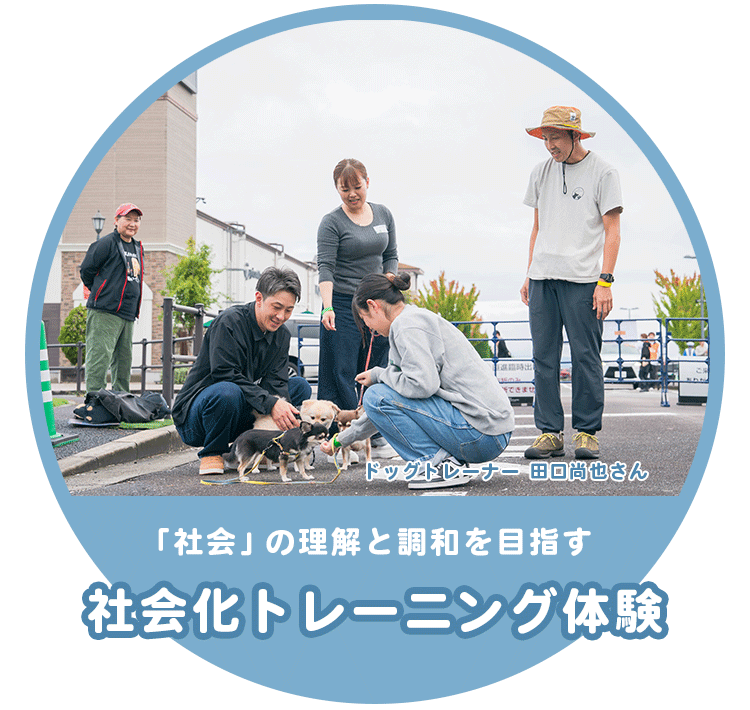 社会化トレーニング体験