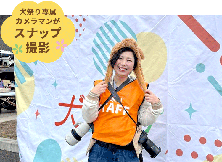 犬祭り専属カメラマン 犬のスナップ撮影