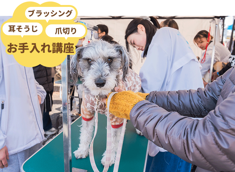 犬のお手入れ講座
