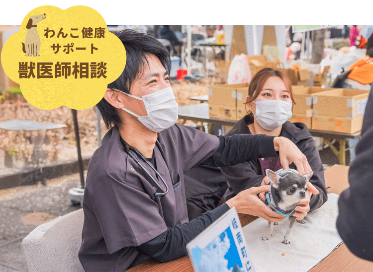 犬の健康サポート 獣医師相談