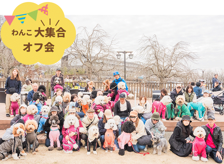 犬大集合 オフ会
