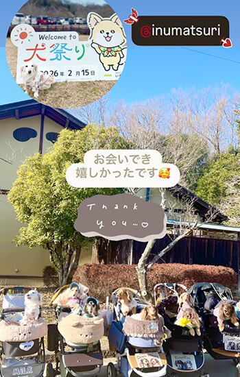 ダックスフンド