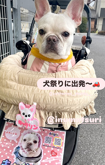ブルドッグ