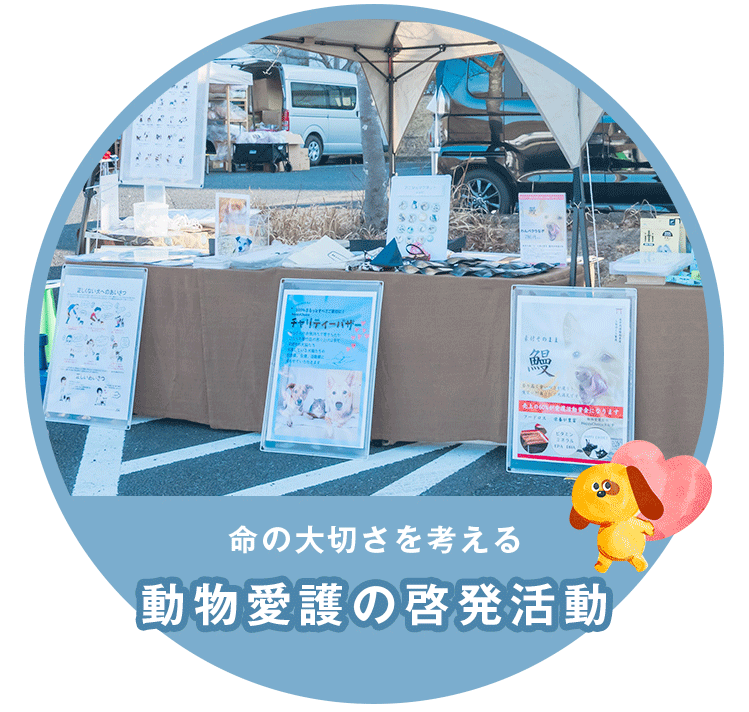 動物愛護の啓発活動