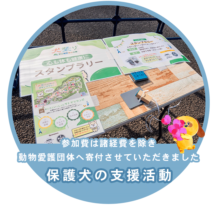 保護犬の支援活動