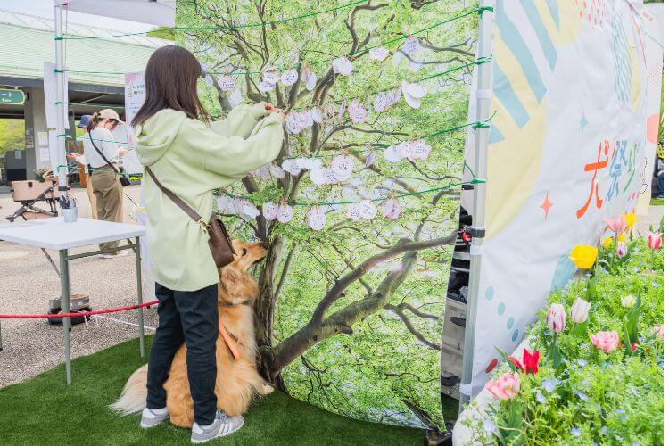 ペットイベントのコンテンツ設計