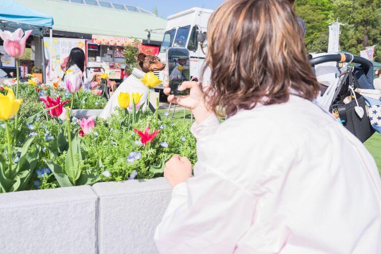 ぎふワールド・ローズガーデンのペットイベントの様子